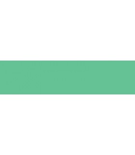 Σπρέυ Φθορίζον Ακρ. Πράσινο 400ml