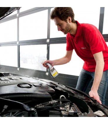 Καθαριστικό μηχανής 500ml