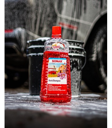 Σαμπουάν συμπυκνωμένο για συχνό πλύσιμο 2L