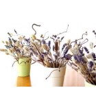 Βερνίκια Ακρυλικά